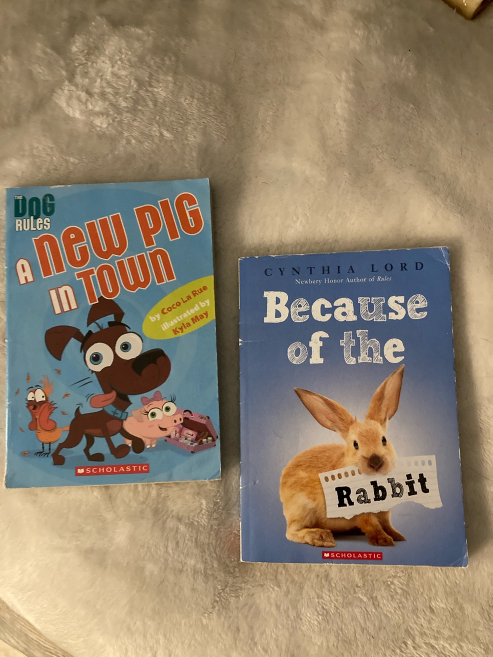 Scholastic Blue Children's Picture Book Pair